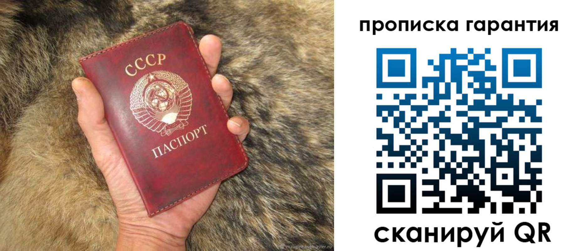 прописка паспорт в Кузнецке